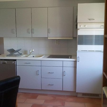 Ferienwohnung L Etoile Roussillon en Isere Exterior foto